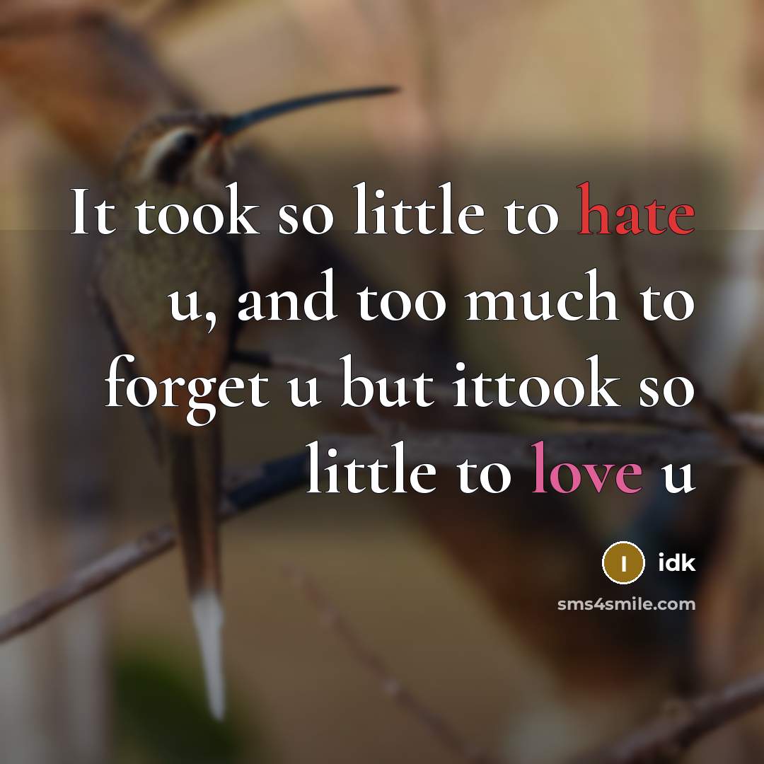 “It took so little to hate u, and too much to forget u but ittook so little to love u” quote by Idk