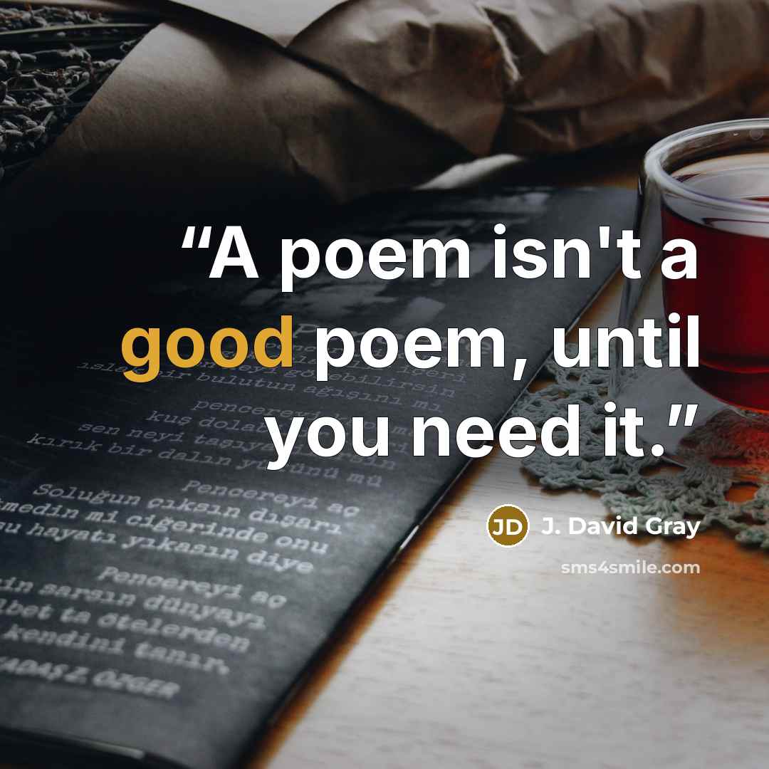“A poem isn't a good poem, until you need it.” quote by J. David Gray