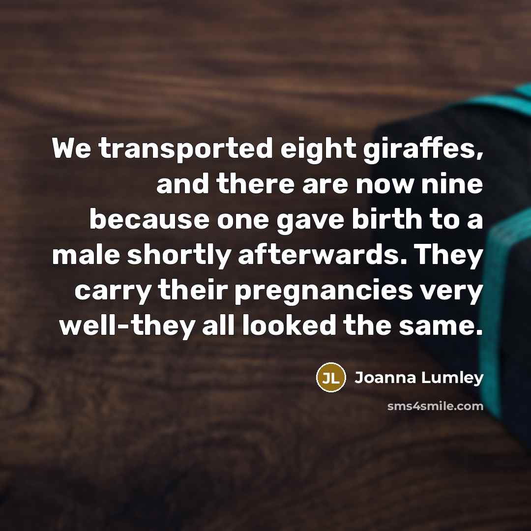 “We transported eight giraffes, and there are now nine because…” quote by Joanna Lumley