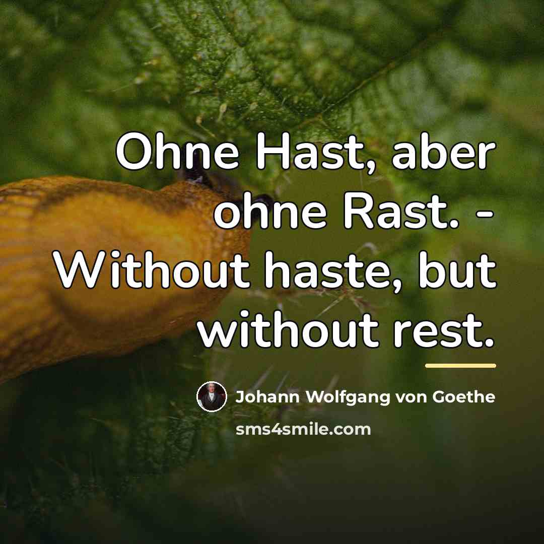 “Ohne Hast, aber ohne Rast. - Without haste, but without…” quote by Johann Wolfgang von Goethe