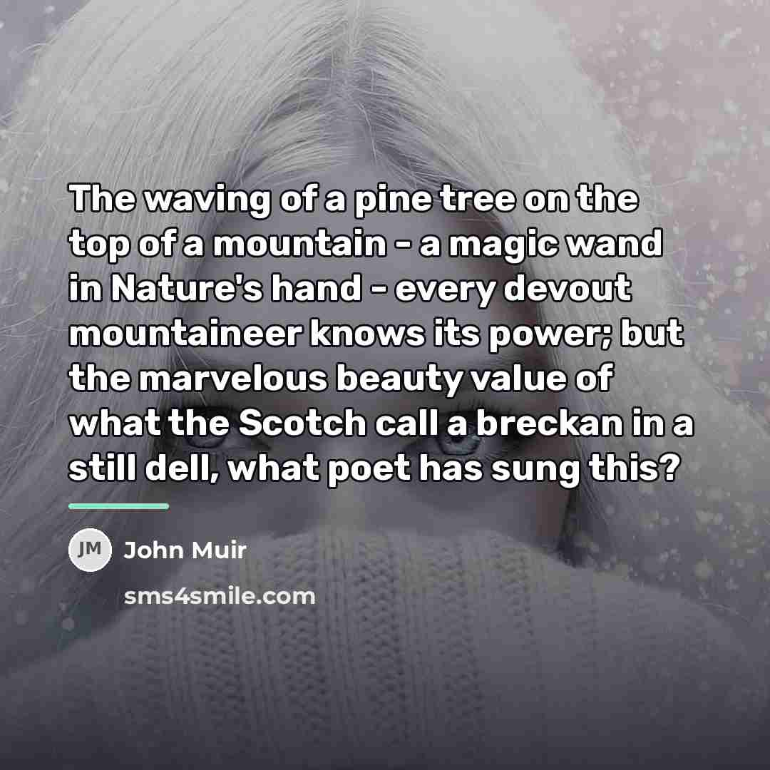 “The waving of a pine tree on the top of…” quote by John Muir