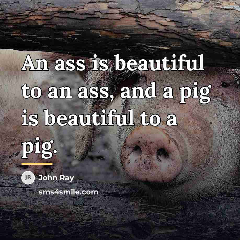 “An ass is beautiful to an ass, and a pig…” quote by John Ray
