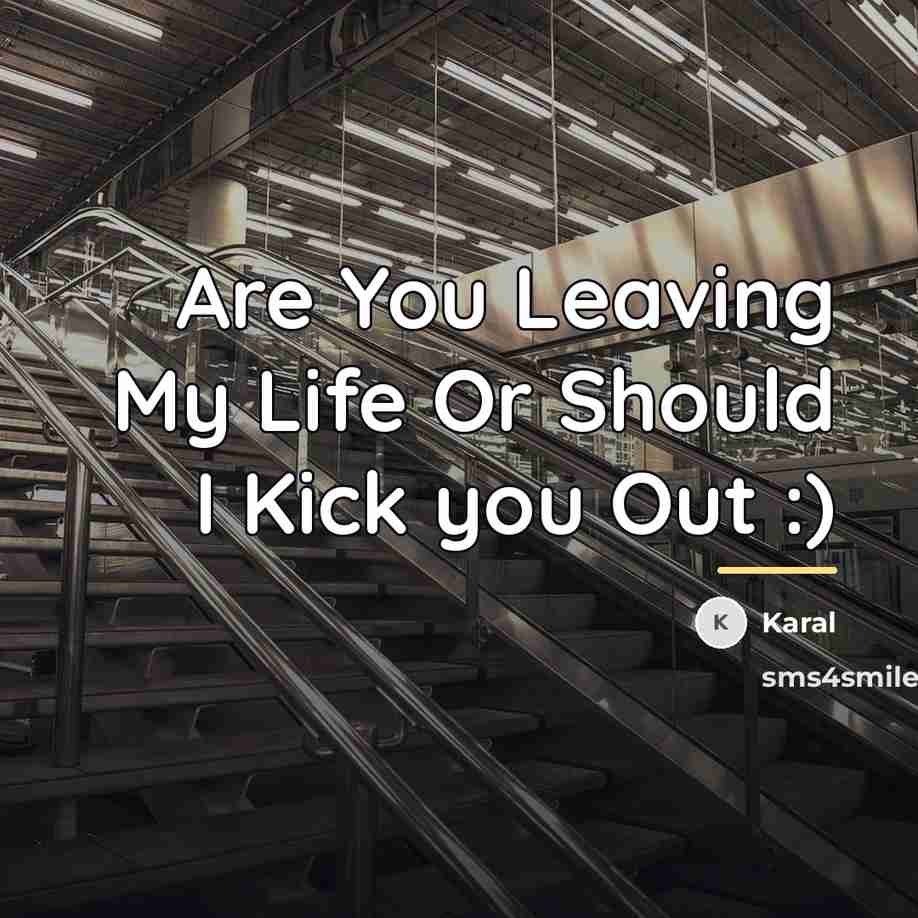 “Are You Leaving My Life Or Should I Kick you…” quote by Karal