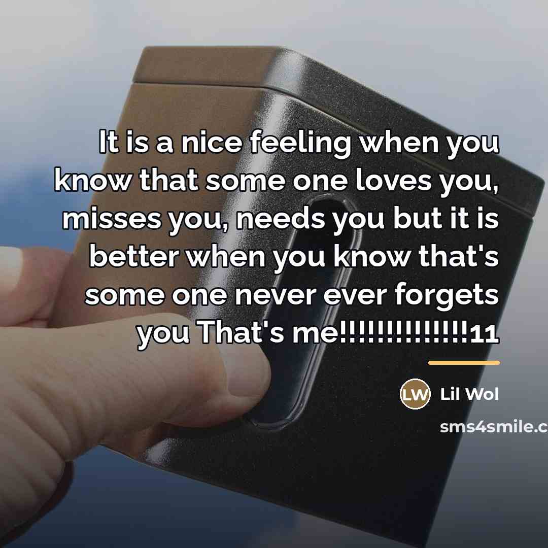 “It is a nice feeling when you know that some…” quote by Lil Wol