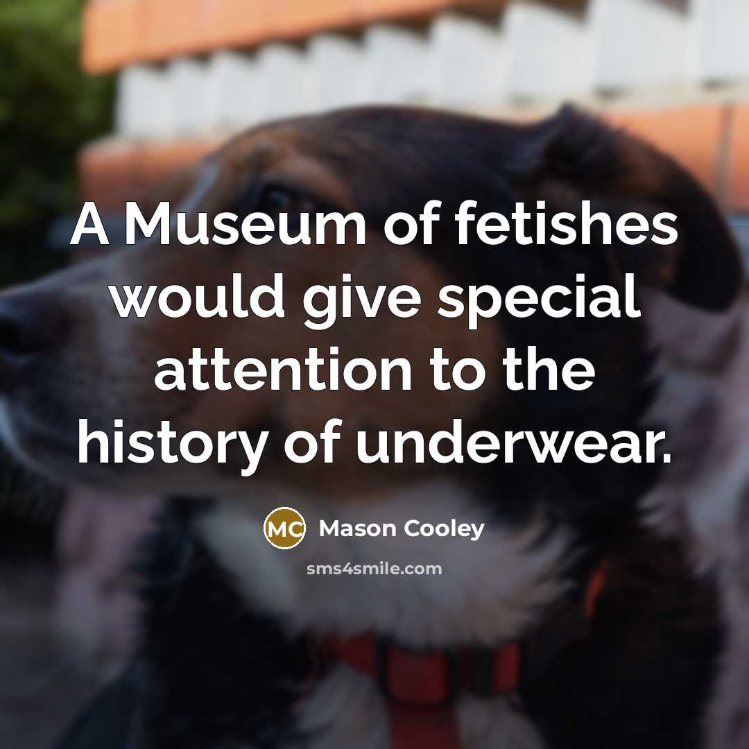 “A Museum of fetishes would give special attention to the…” quote by Mason Cooley