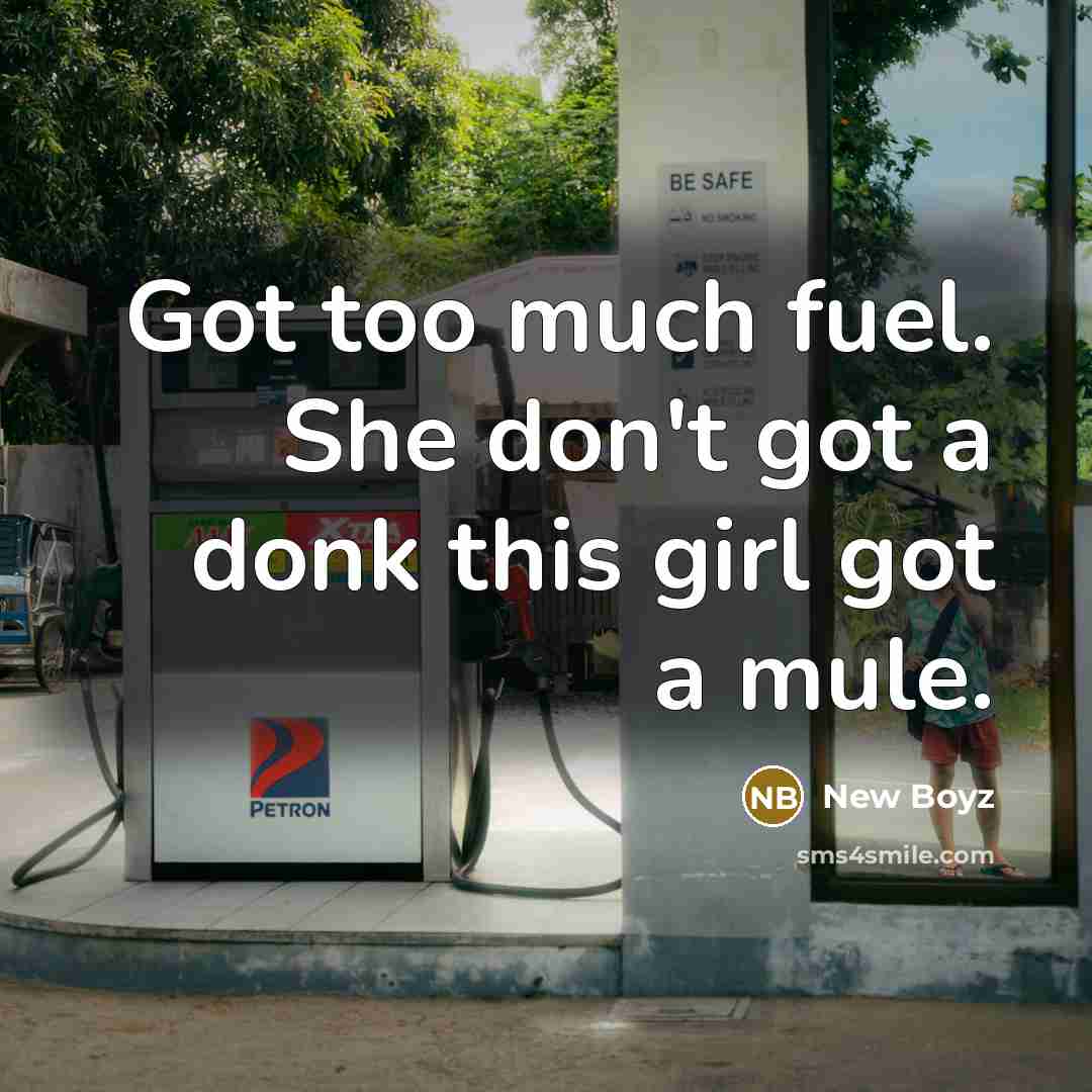 “Got too much fuel. She don't got a donk this…” quote by New Boyz