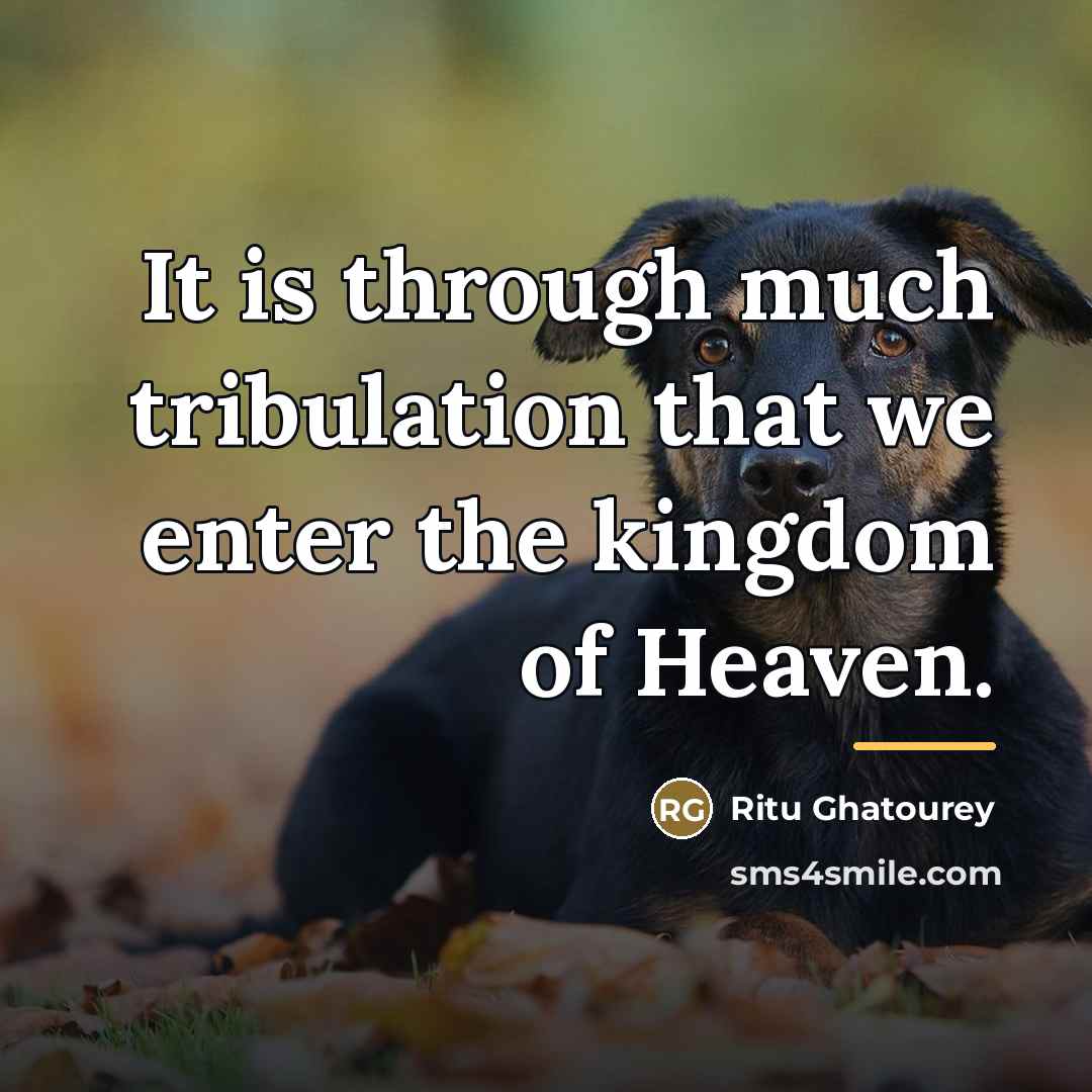 “It is through much tribulation that we enter the kingdom…” quote by Ritu Ghatourey
