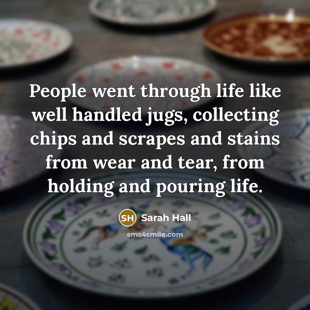 “People went through life like well handled jugs, collecting chips…” quote by Sarah Hall
