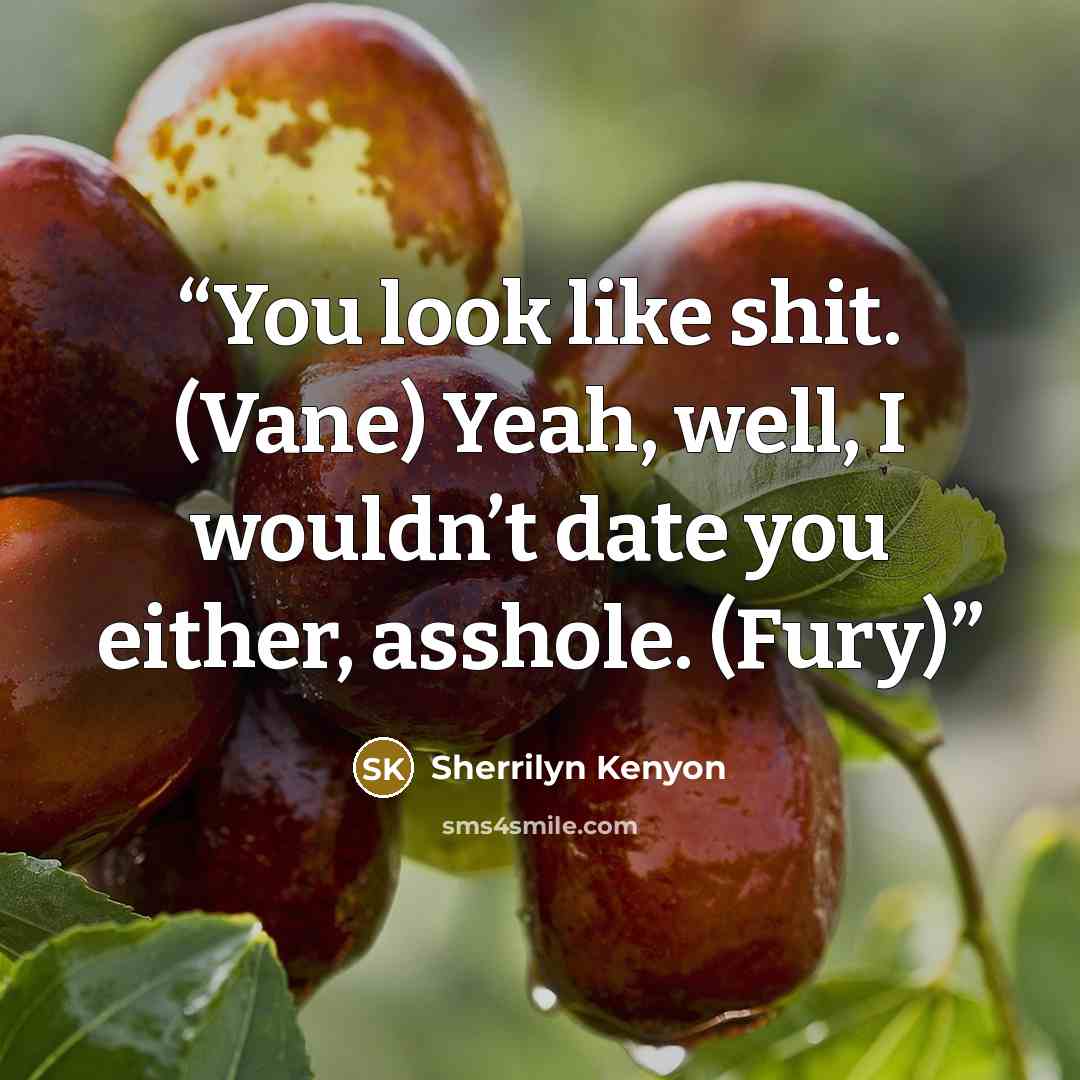 “You look like shit. (Vane) Yeah, well, I wouldn’t date you either, asshole. (Fury)” quote by Sherrilyn Kenyon