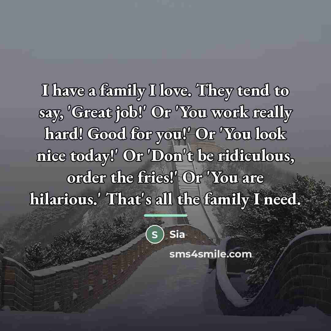 “I have a family I love. They tend to say,…” quote by Sia