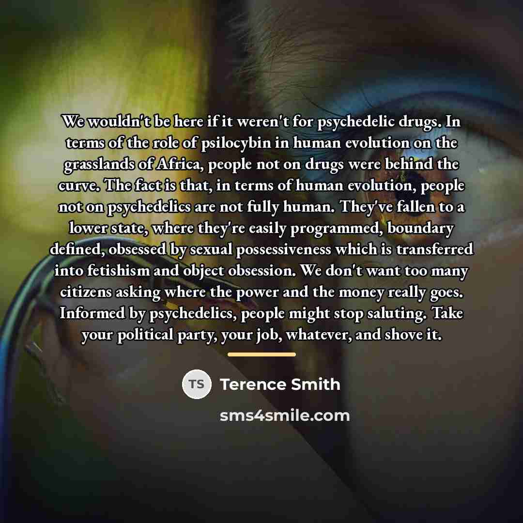 “We wouldn't be here if it weren't for psychedelic drugs.…” quote by Terence Smith