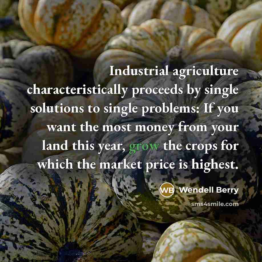 “Industrial agriculture characteristically proceeds by single solutions to single problems:…” quote by Wendell Berry