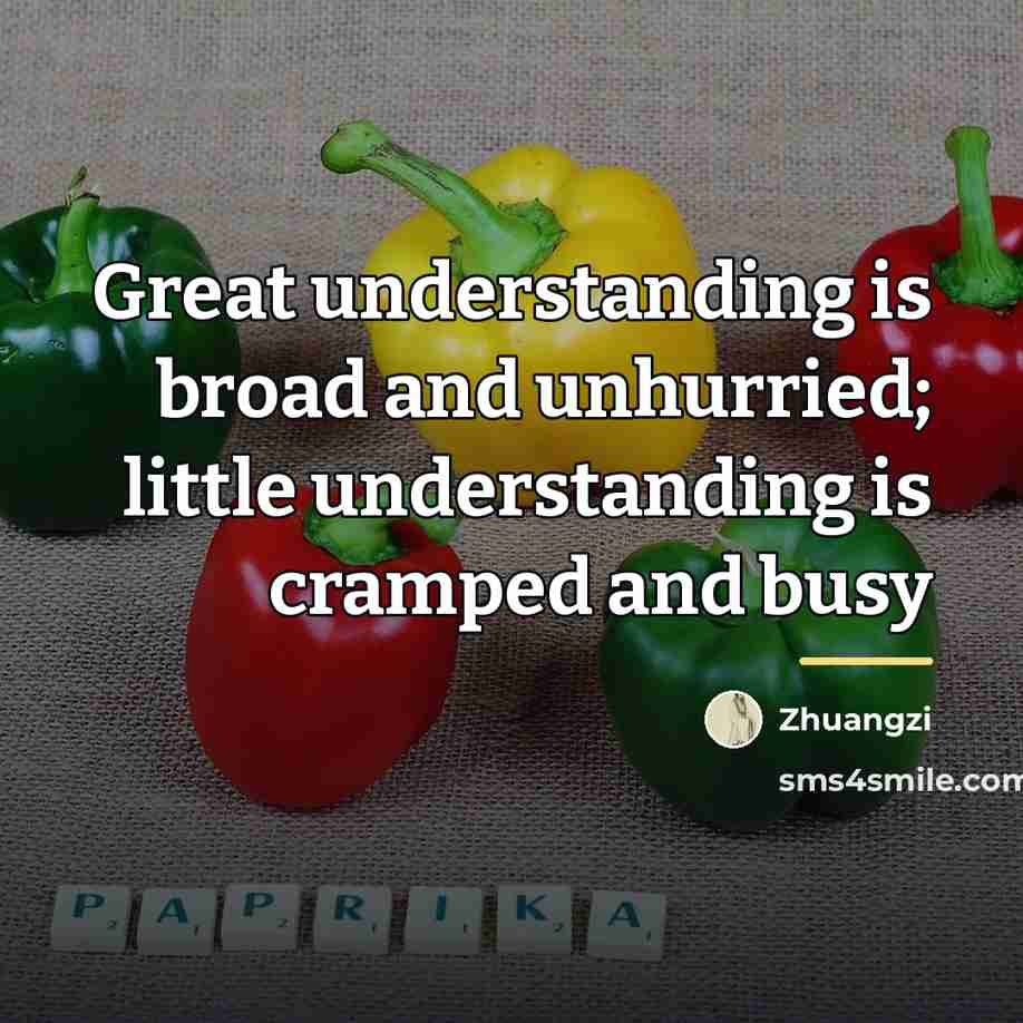 “Great understanding is broad and unhurried; little understanding is cramped…” quote by Zhuangzi