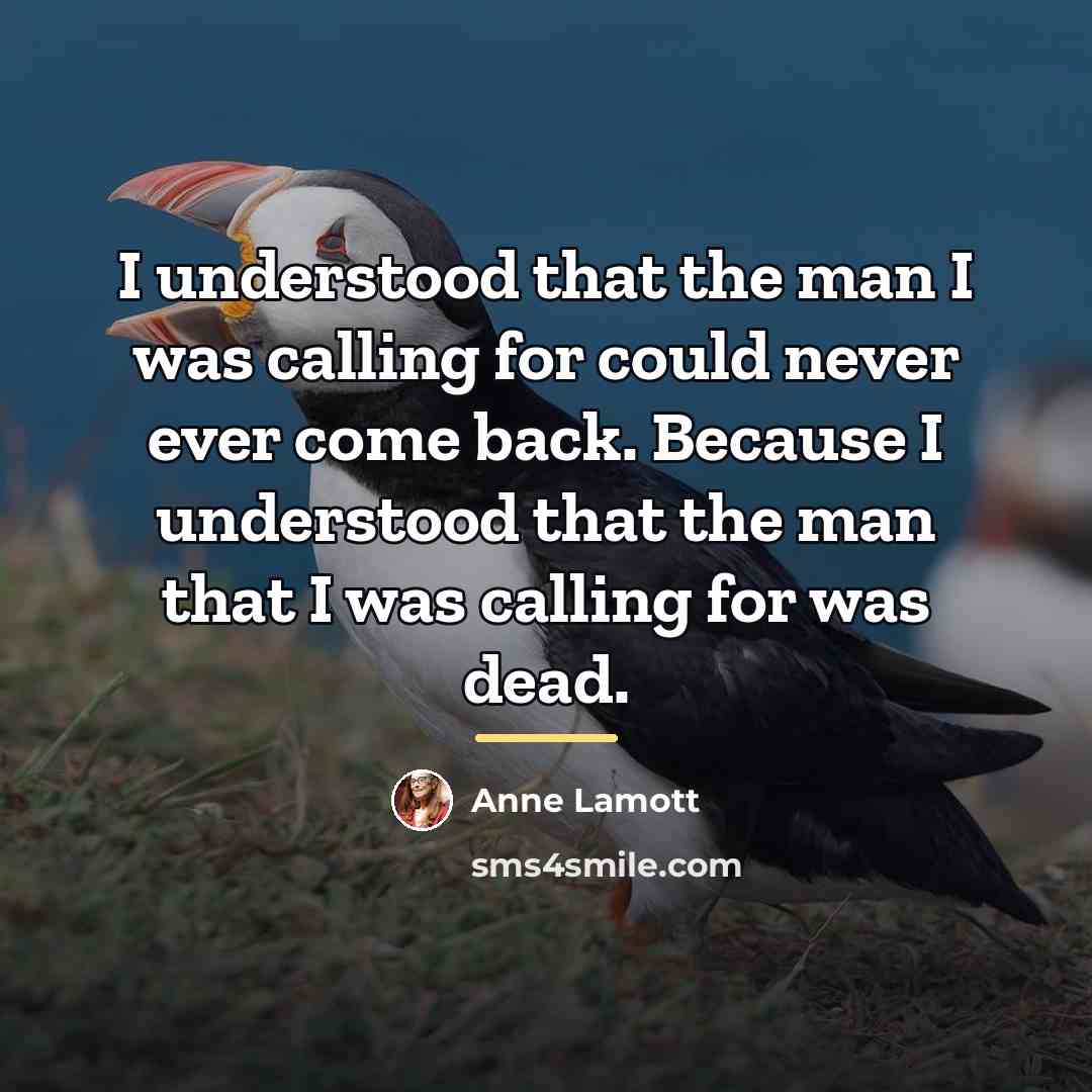 “I understood that the man I was calling for could…” quote by Anne Lamott