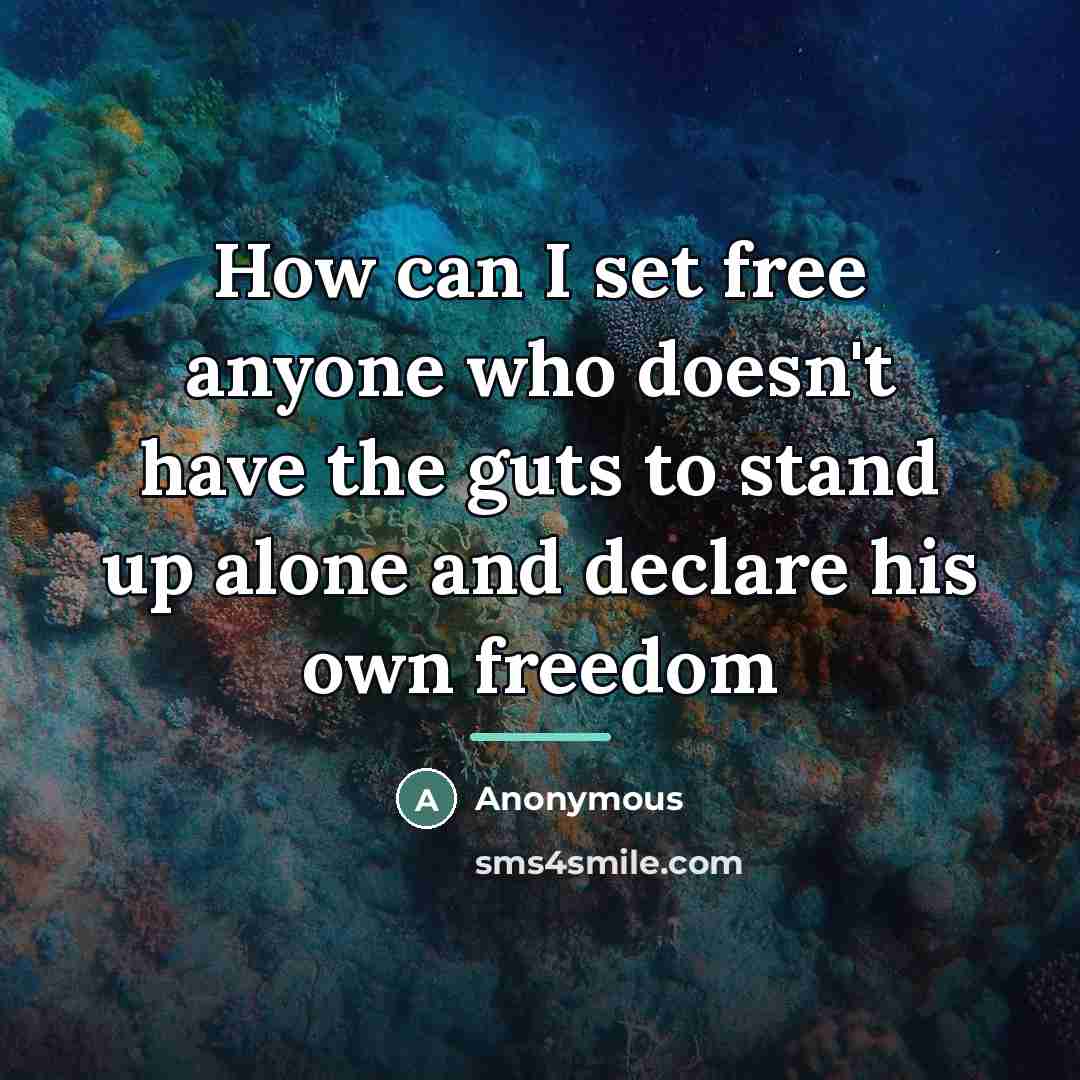 “How can I set free anyone who doesn't have the…” quote by Anonymous