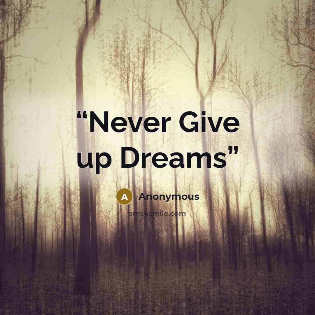“Never Give up Dreams” quote by Anonymous