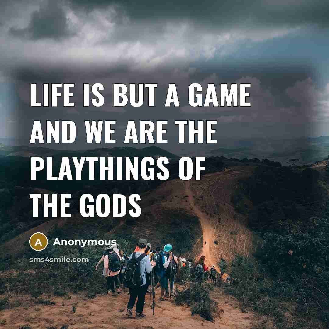 “Life is but a game and we are the playthings…” quote by Anonymous