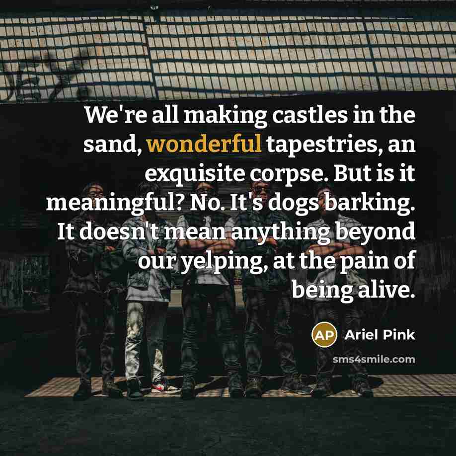 “We're all making castles in the sand, wonderful tapestries, an…” quote by Ariel Pink