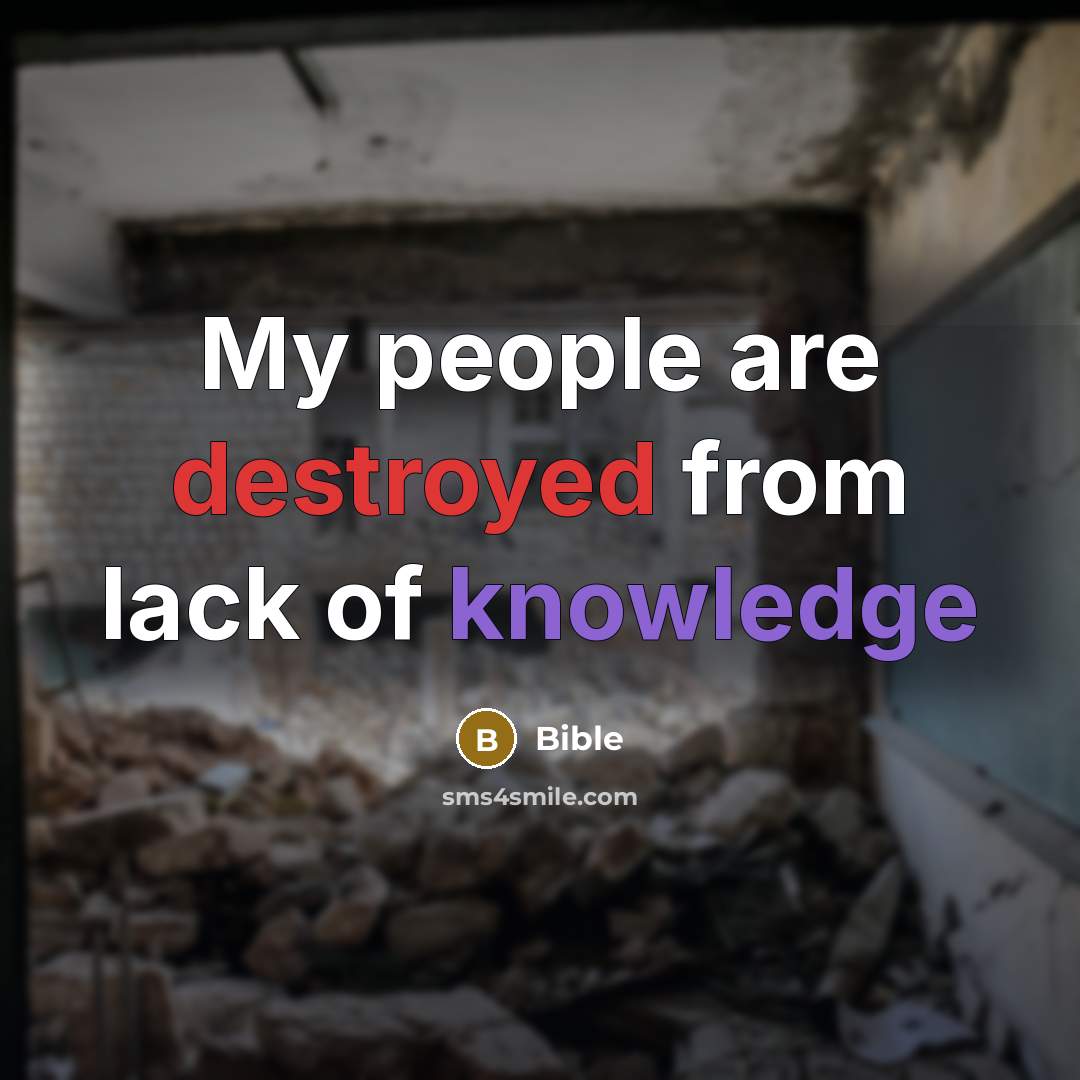 “My people are destroyed from lack of knowledge” quote by Bible