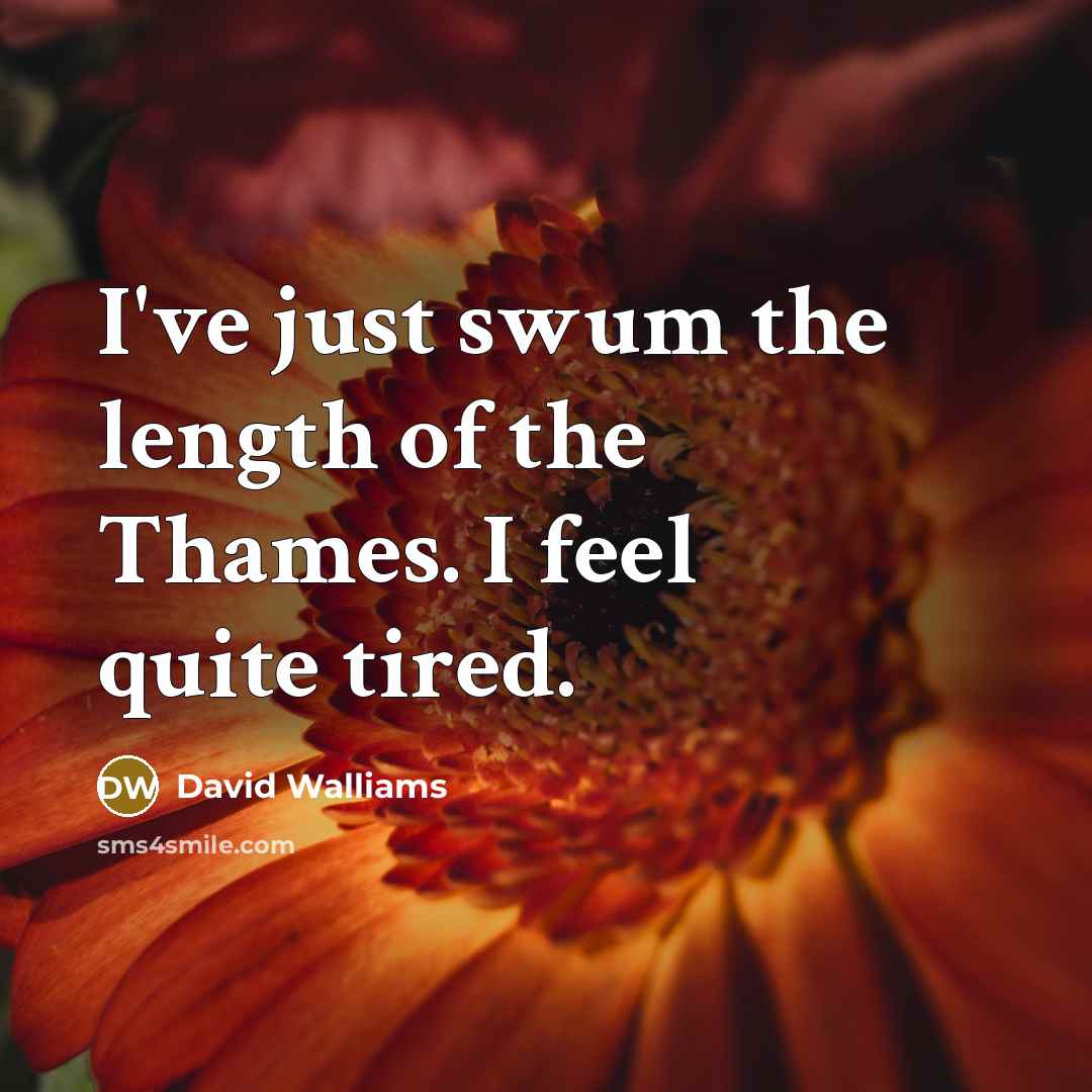 “I've just swum the length of the Thames. I feel quite tired.” quote by David Walliams