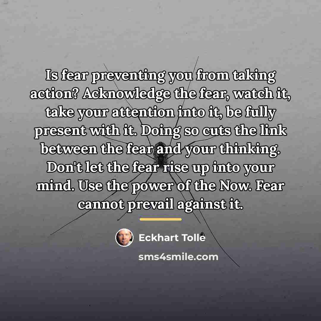 “Is fear preventing you from taking action? Acknowledge the fear,…” quote by Eckhart Tolle