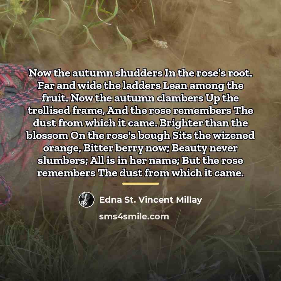 “Now the autumn shudders In the rose's root. Far and…” quote by Edna St. Vincent Millay