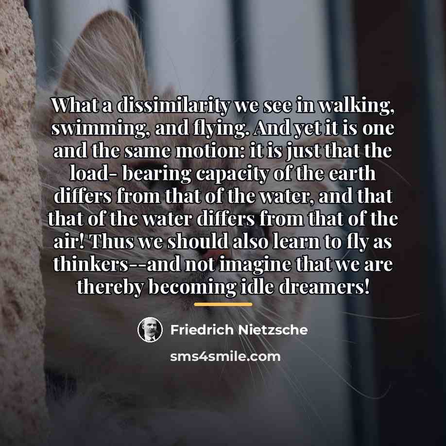 “What a dissimilarity we see in walking, swimming, and flying.…” quote by Friedrich Nietzsche