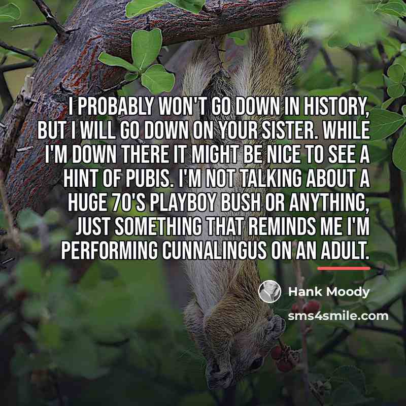 “I probably won't go down in history, but I will…” quote by Hank Moody