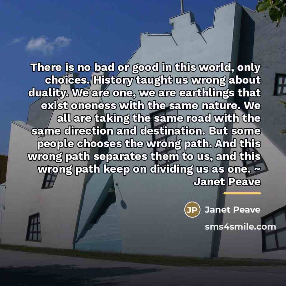 “There is no bad or good in this world, only…” quote by Janet Peave