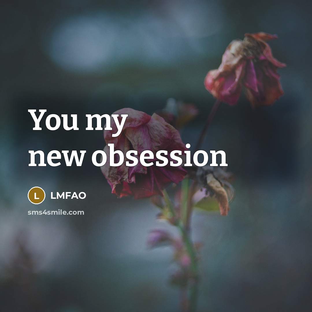 “You my new obsession” quote by LMFAO