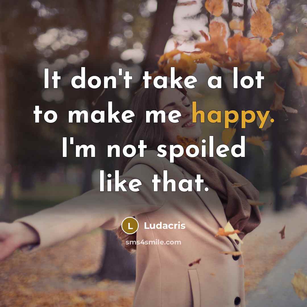 “It don't take a lot to make me happy. I'm…” quote by Ludacris