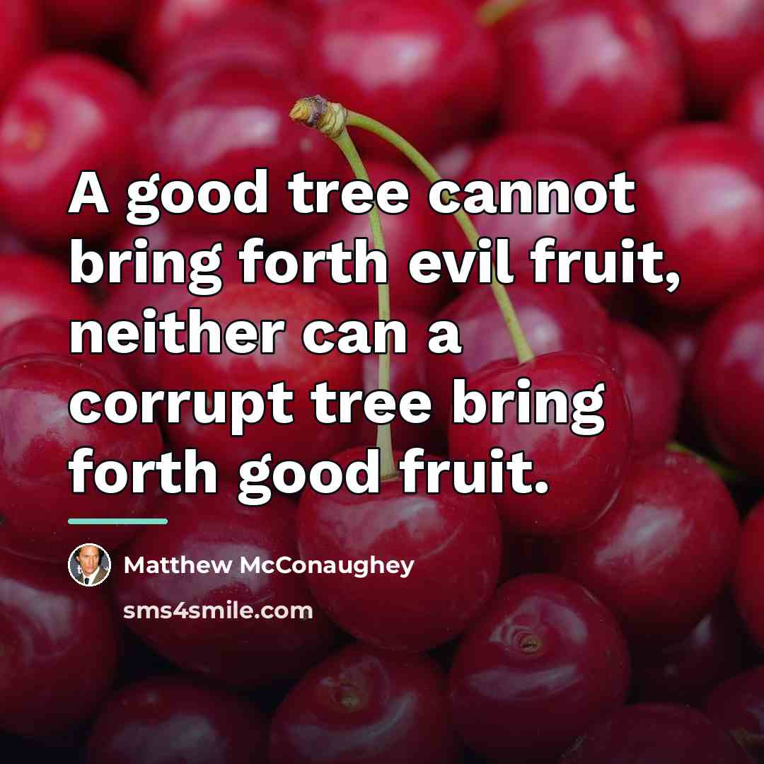“A good tree cannot bring forth evil fruit, neither can…” quote by Matthew McConaughey