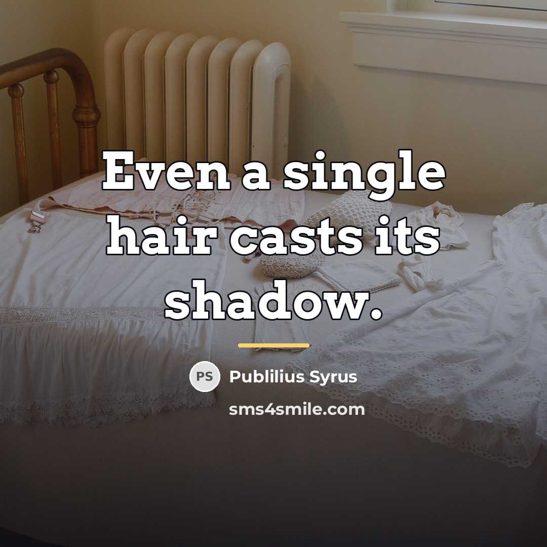 “Even a single hair casts its shadow.…” quote by Publilius Syrus