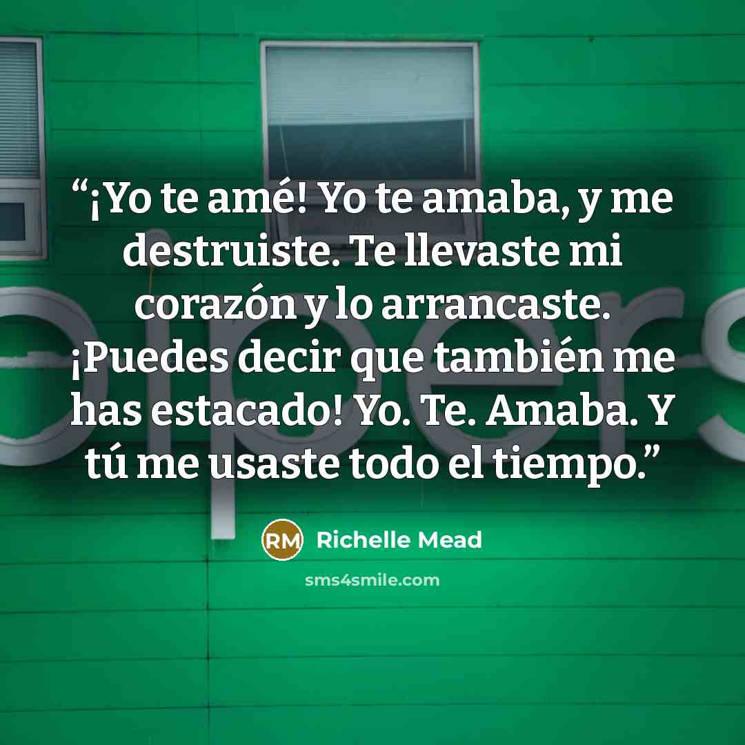 “¡Yo te amé! Yo te amaba, y me destruiste. Te llevaste mi corazón y lo arrancaste. ¡Puedes decir que también me has estacado! Yo. Te. Amaba. Y tú me usaste todo el tiempo.” quote by Richelle Mead
