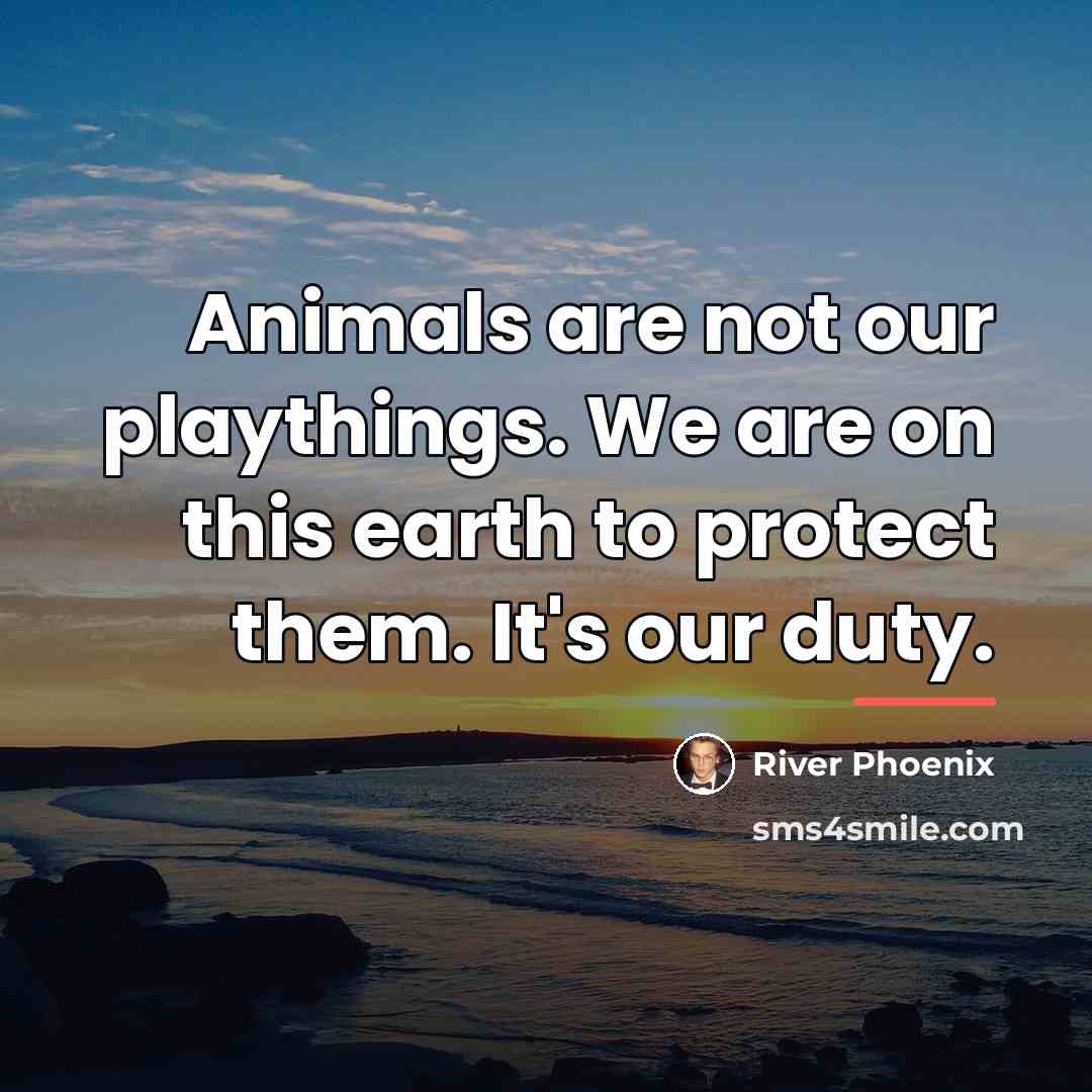 “Animals are not our playthings. We are on this earth…” quote by River Phoenix