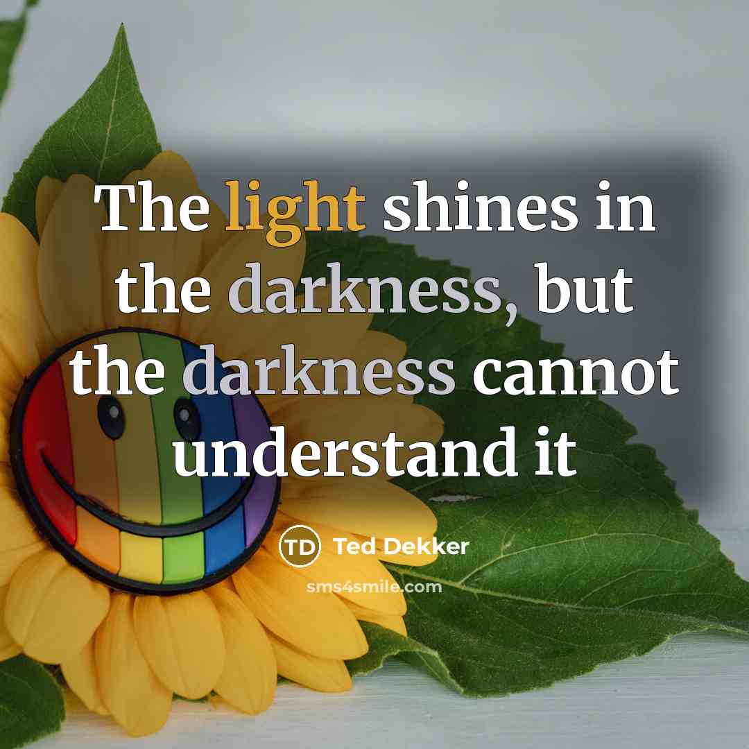 “The light shines in the darkness, but the darkness cannot…” quote by Ted Dekker