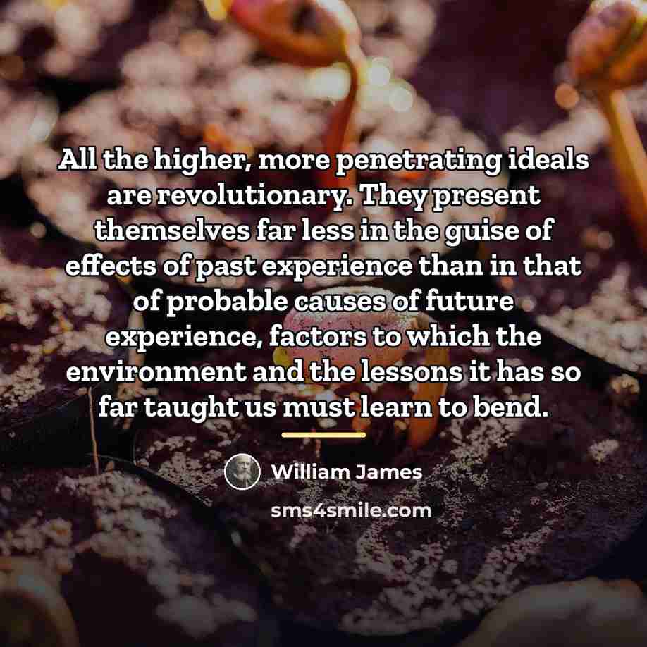 “All the higher, more penetrating ideals are revolutionary. They present…” quote by William James