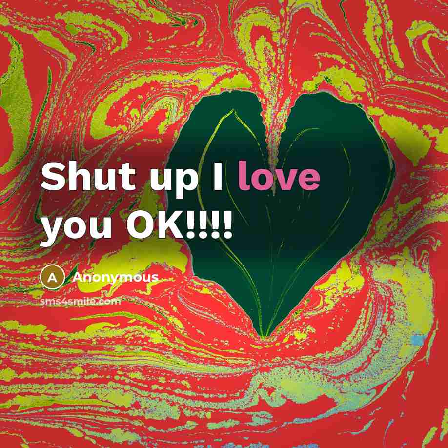 “Shut up I love you OK!!!!…” quote by Anonymous