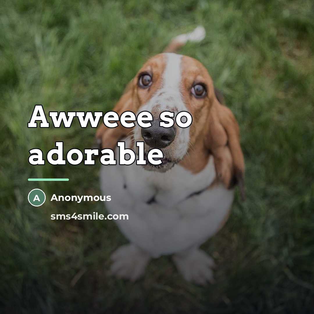“Awweee so adorable…” quote by Anonymous