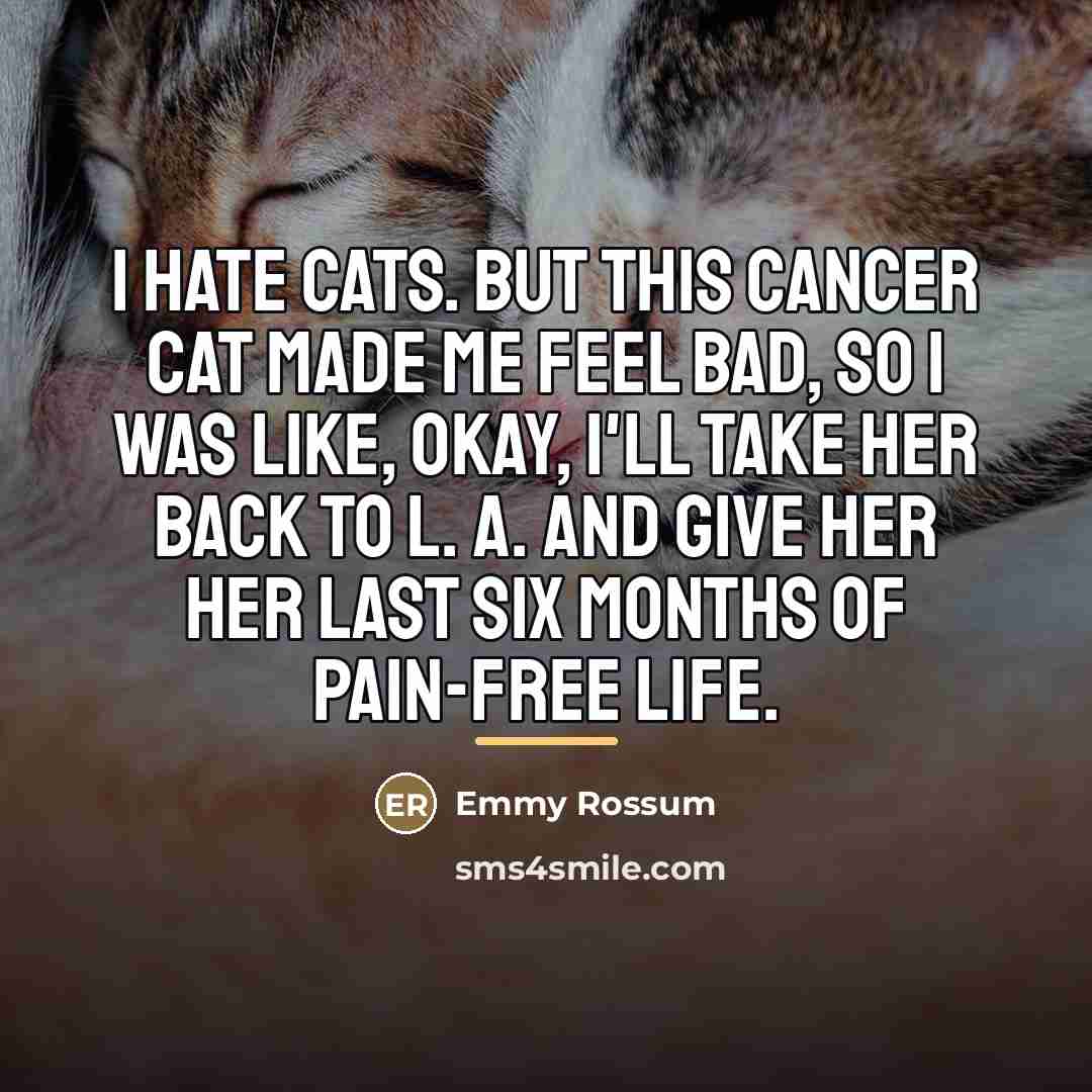 “I hate cats. But this cancer cat made me feel…” quote by Emmy Rossum