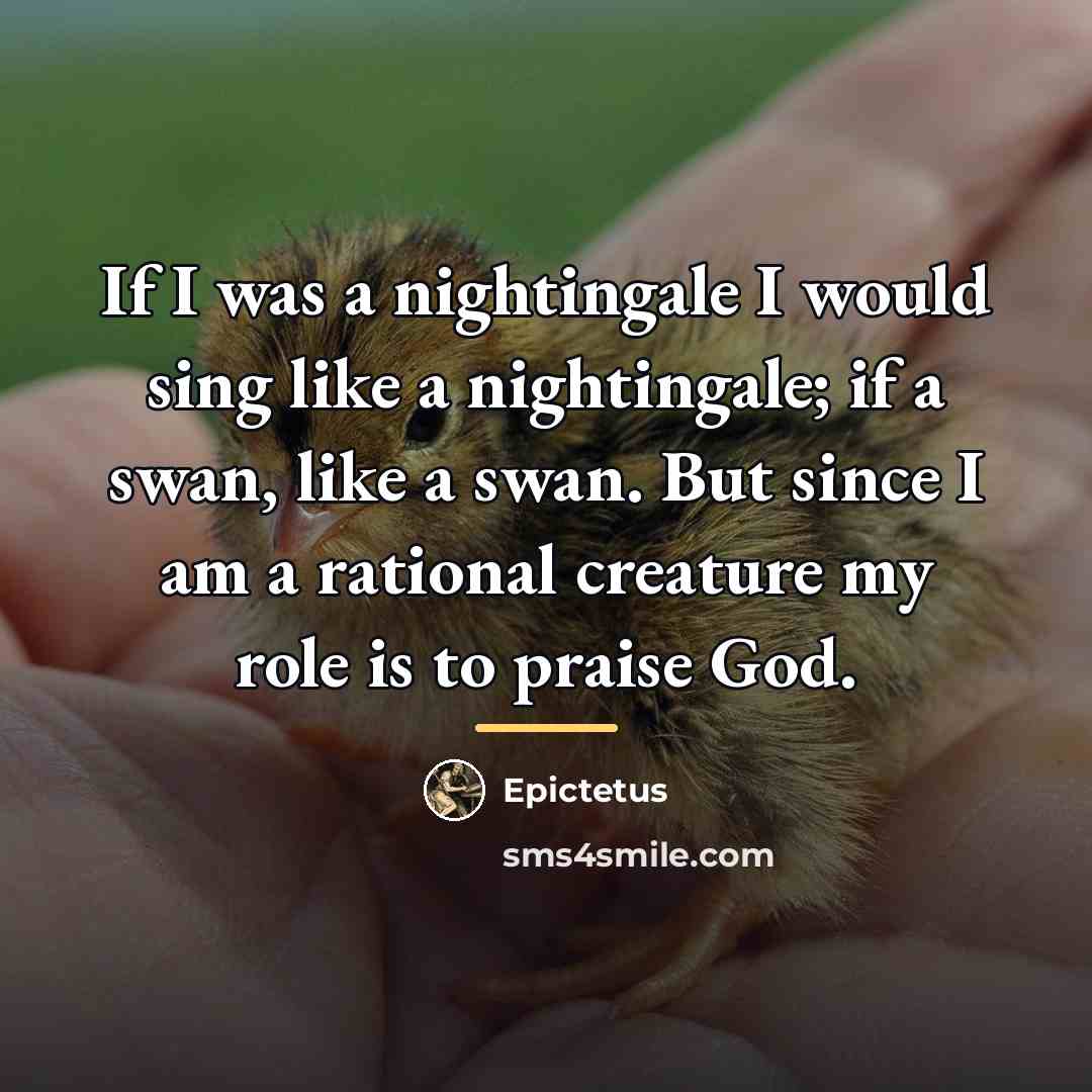 “If I was a nightingale I would sing like a…” quote by Epictetus