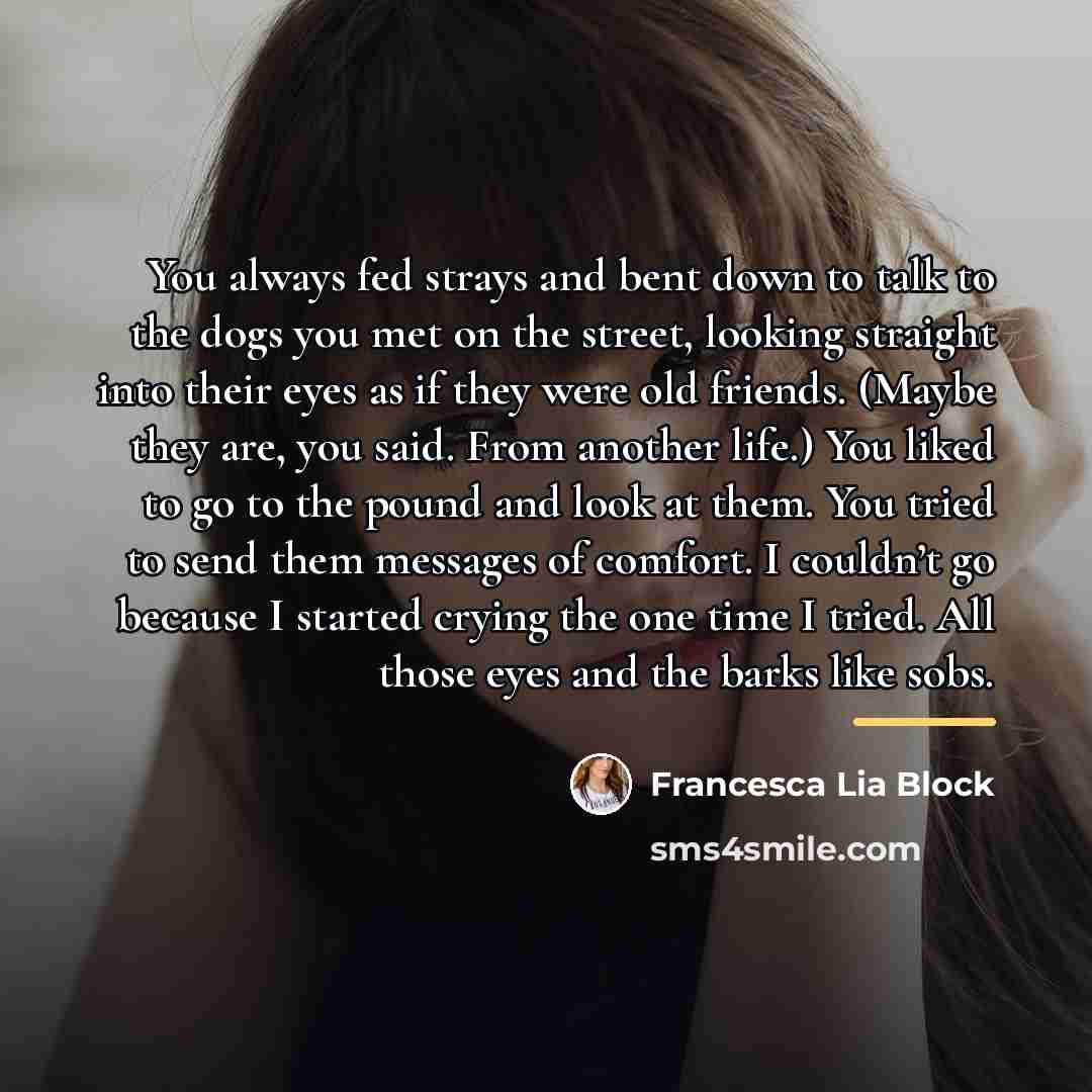 “You always fed strays and bent down to talk to…” quote by Francesca Lia Block