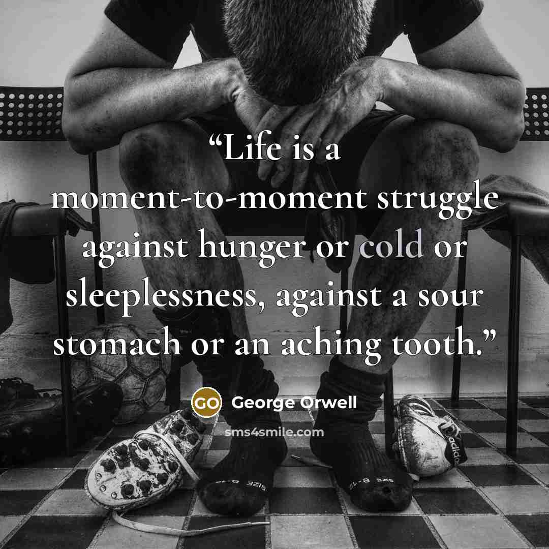 “Life is a moment-to-moment struggle against hunger or cold or sleeplessness, against a sour stomach or an aching tooth.” quote by George Orwell