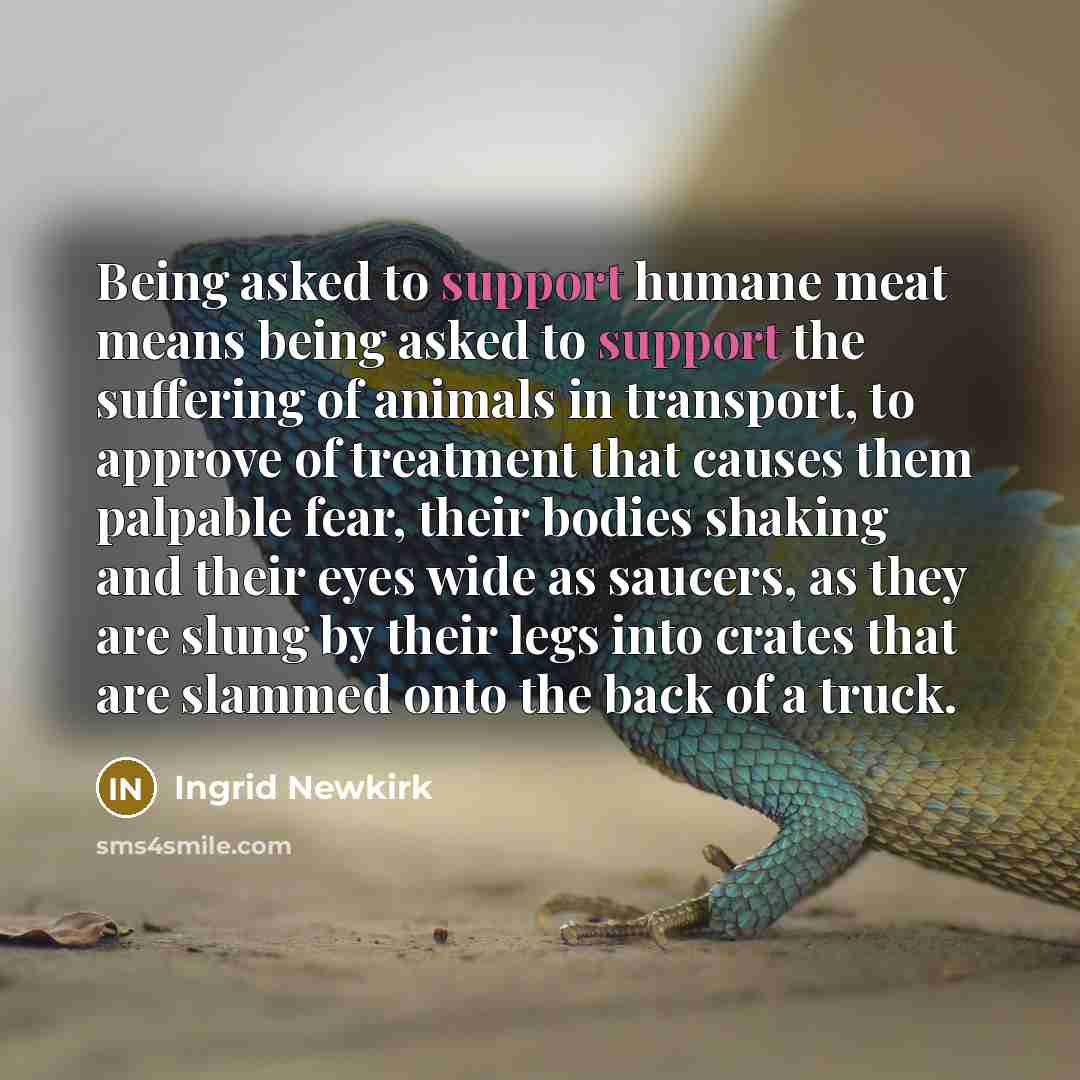 “Being asked to support humane meat means being asked to…” quote by Ingrid Newkirk