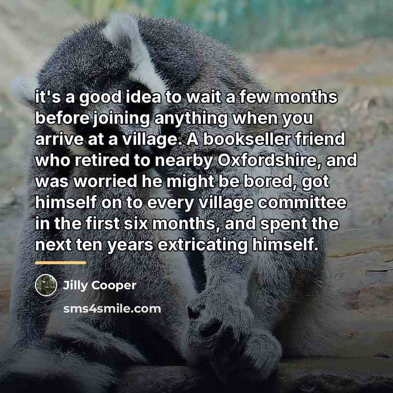 “it's a good idea to wait a few months before…” quote by Jilly Cooper