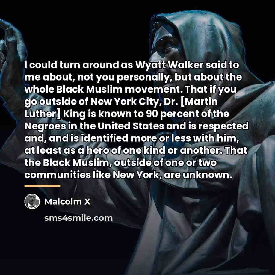 “I could turn around as Wyatt Walker said to me…” quote by Malcolm X