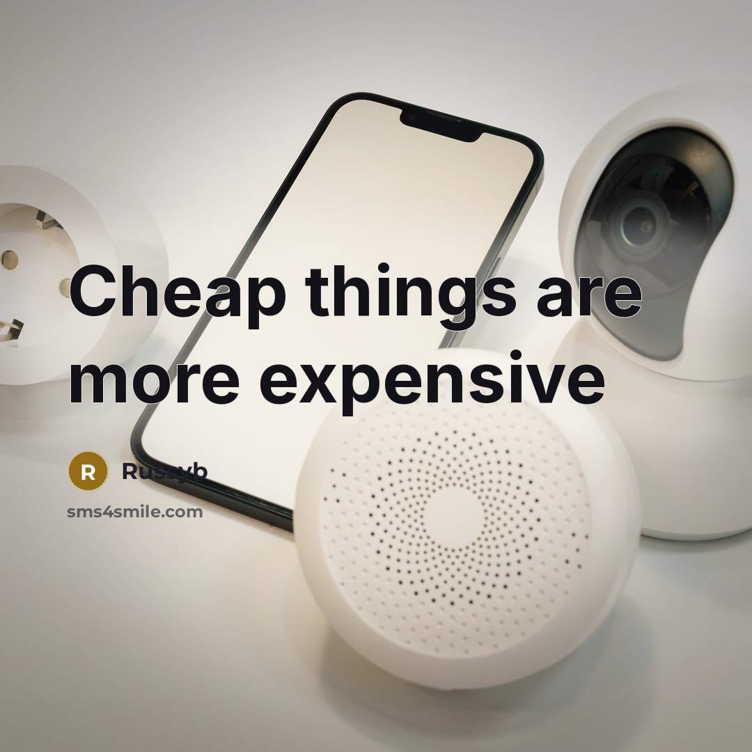 “Cheap things are more expensive…” quote by Russyb