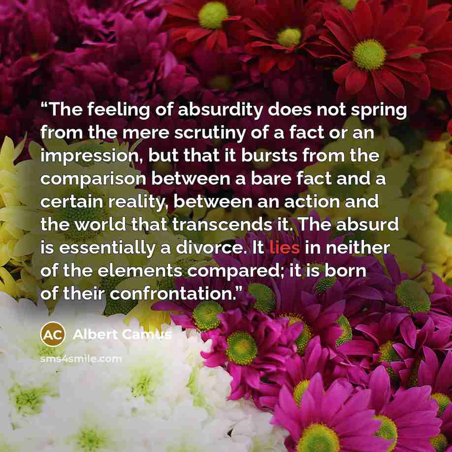 “The feeling of absurdity does not spring from the mere scrutiny of a fact or an impression, but that it bursts from the comparison between a bare fact and a certain reality, between an action and the world that transcends it. The absurd is essentially a divorce. It lies in neither of the elements…” quote by Albert Camus
