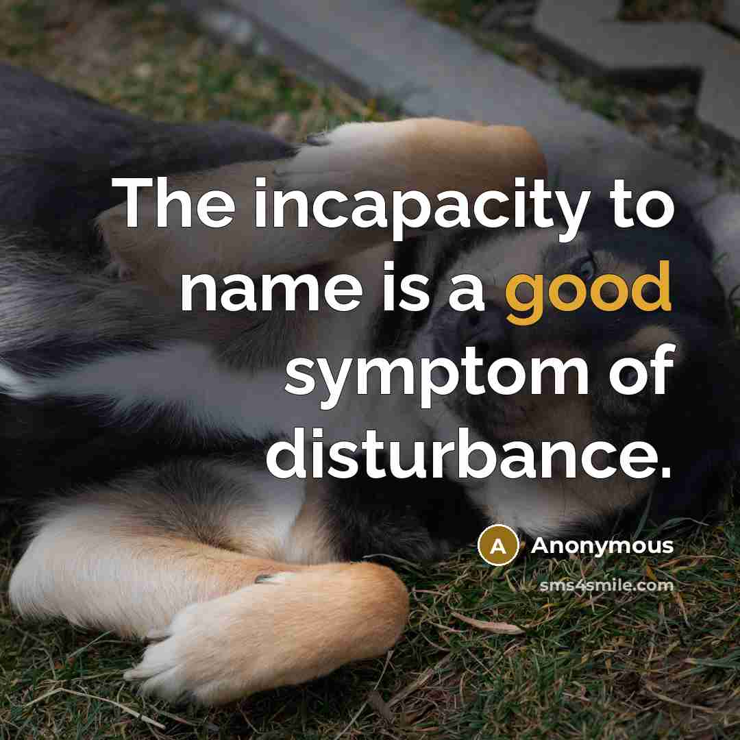 “The incapacity to name is a good symptom of disturbance.…” quote by Anonymous