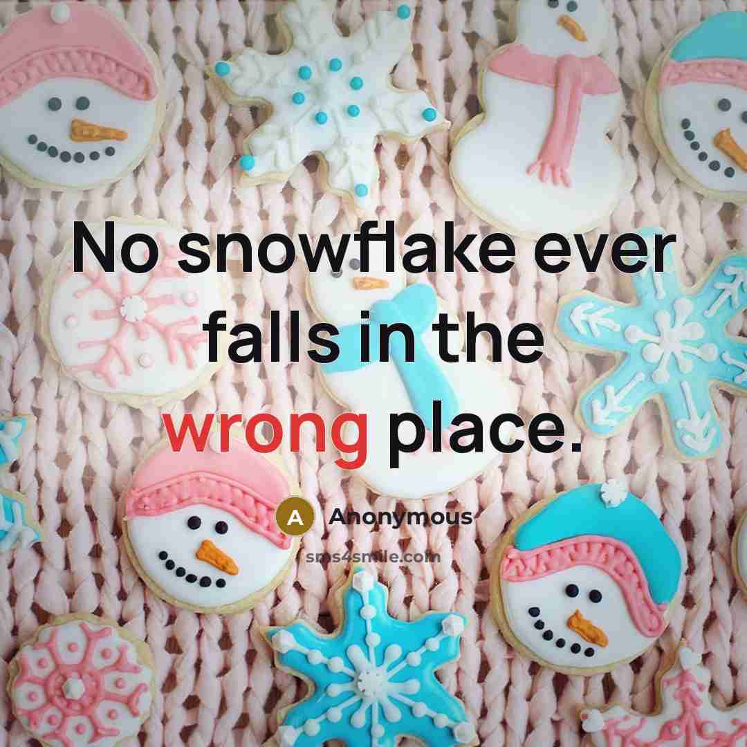 “No snowflake ever falls in the wrong place.” quote by Anonymous